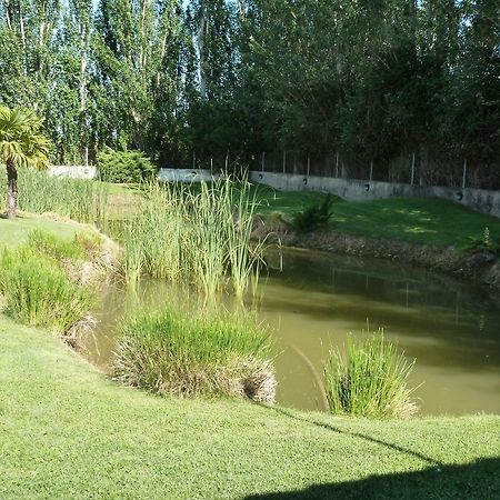 Hotel H Con Encanto Binéfar Εξωτερικό φωτογραφία